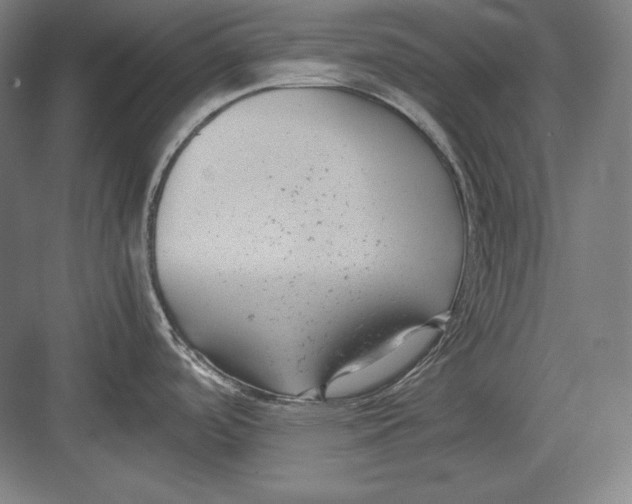 X0000082701488200702161737