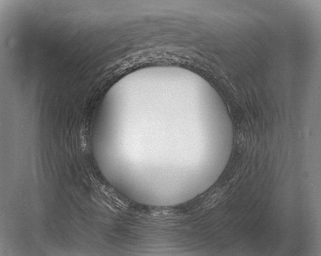 X0000082701490200702161736