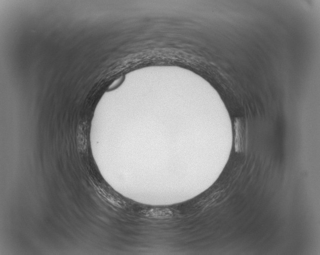 X0000082701491200702161736