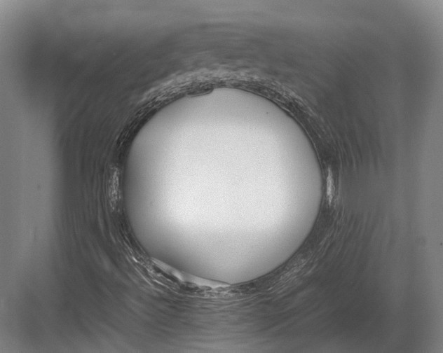 X0000082701492200702161736