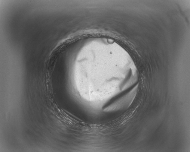 X0000082701494200702161736