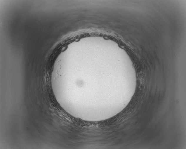 X0000082701495200702161736