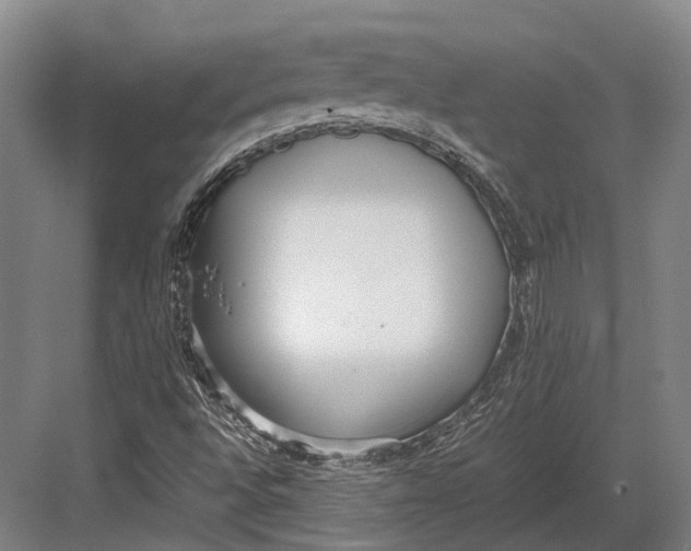 X0000082701496200702161736