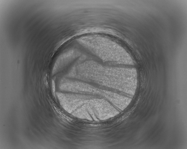 X0000082701497200702161736