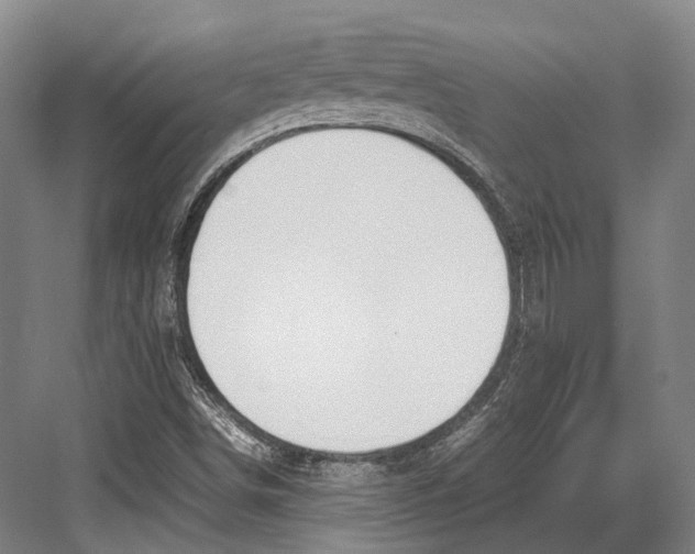 X0000082701498200702161736