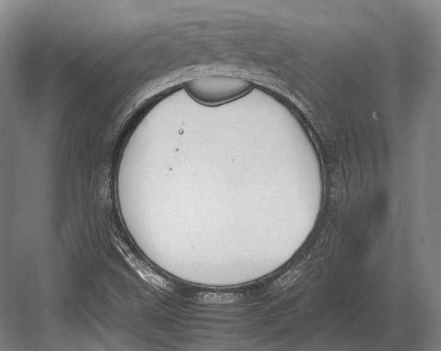 X0000082701499200702161736