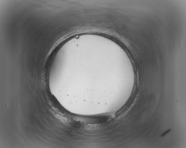 X0000082701501200702161736