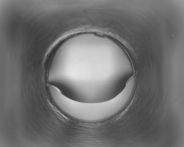 X0000082701502200702161736