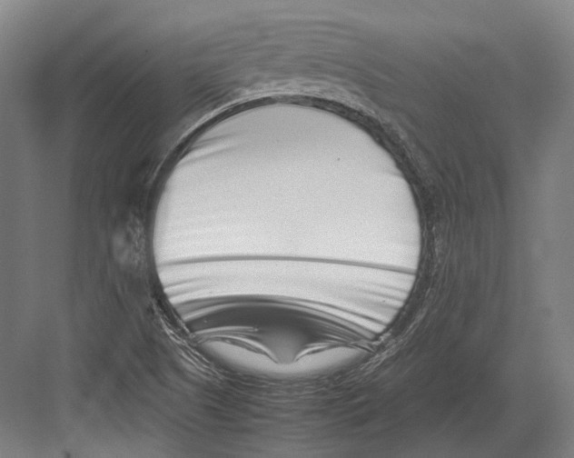 X0000082701505200702161736