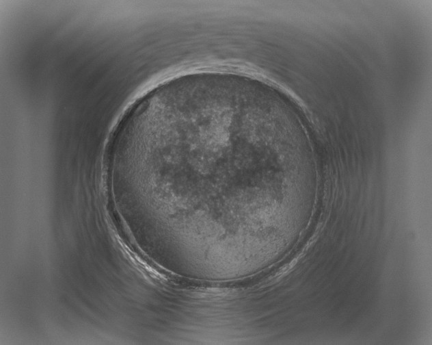 X0000082701506200702161736