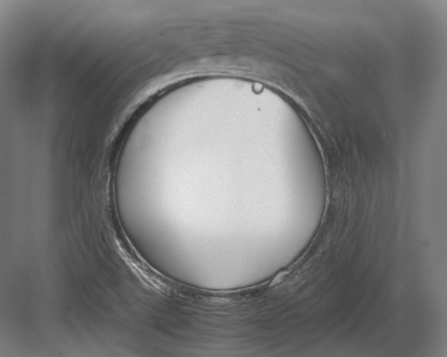 X0000082701507200702161736