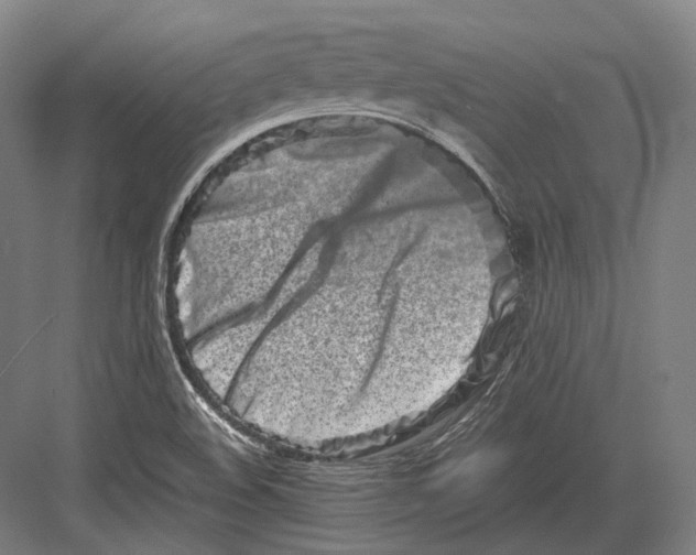 X0000082701508200702161736