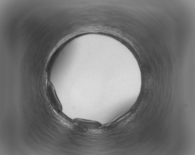 X0000082701509200702161736