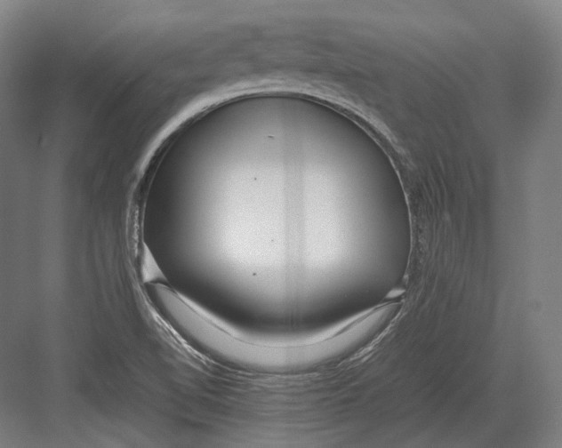 X0000082701510200702161736