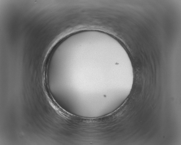 X0000082701511200702161736