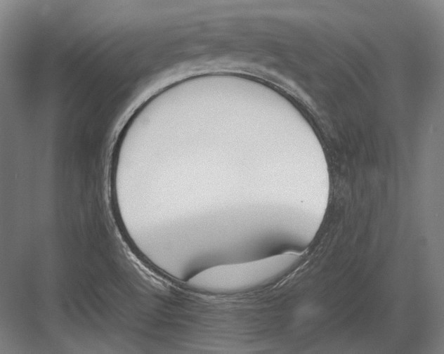 X0000082701512200702161736