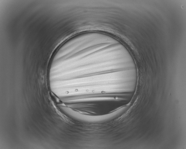 X0000082701513200702161736