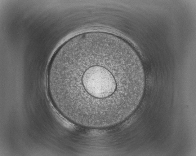 X0000082701514200702161736