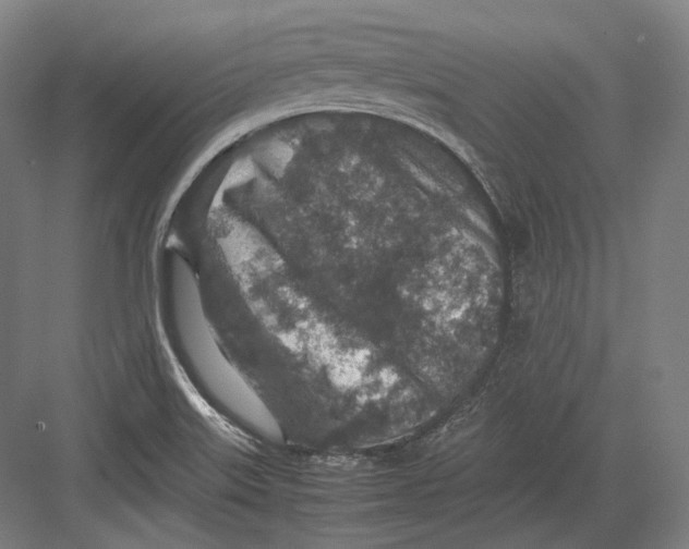 X0000082701515200702161736