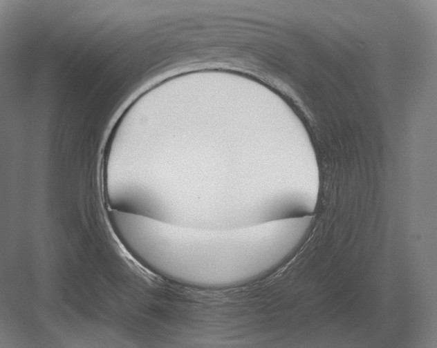 X0000082701516200702161736