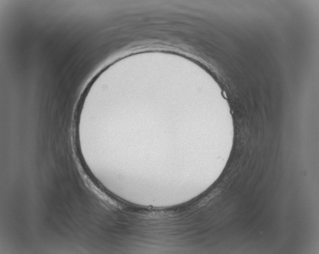 X0000082701518200702161736