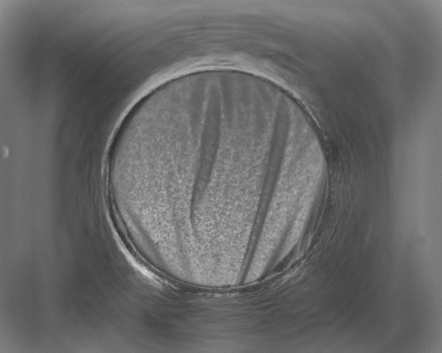 X0000082701519200702161736