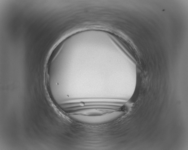 X0000082701520200702161736