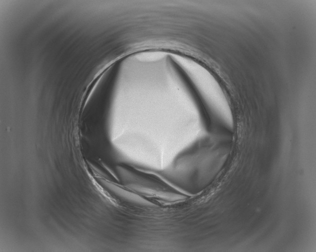 X0000082701521200702161736