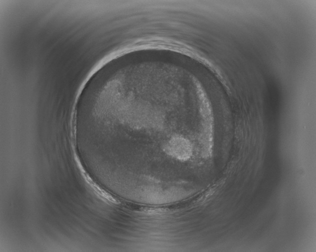 X0000082701522200702161736