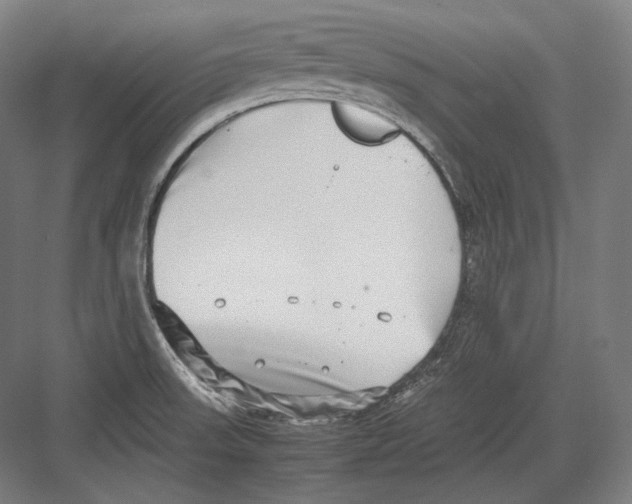 X0000082701523200702161737