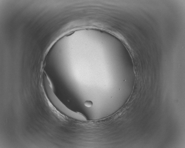 X0000082701524200702161737