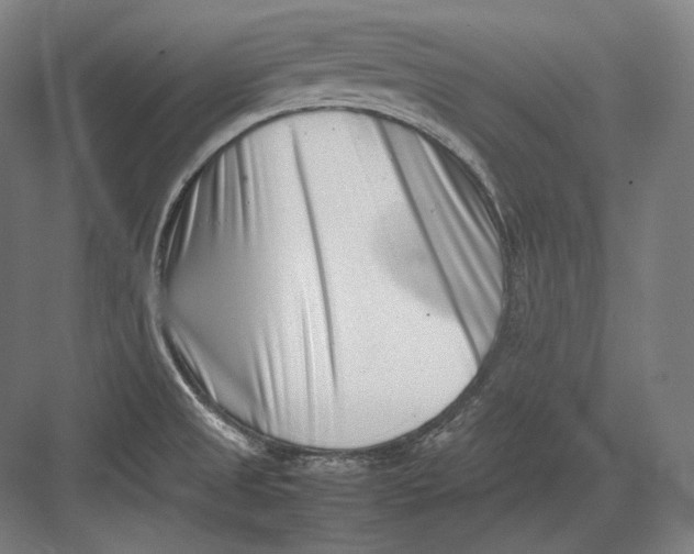 X0000082701525200702161737