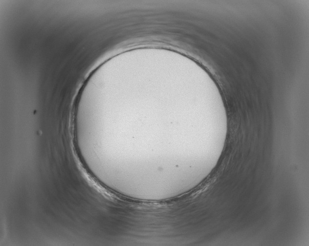 X0000082701526200702161737