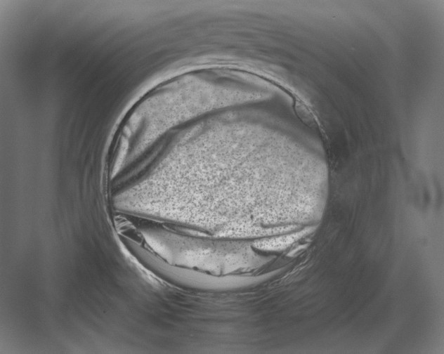 X0000082701527200702161737