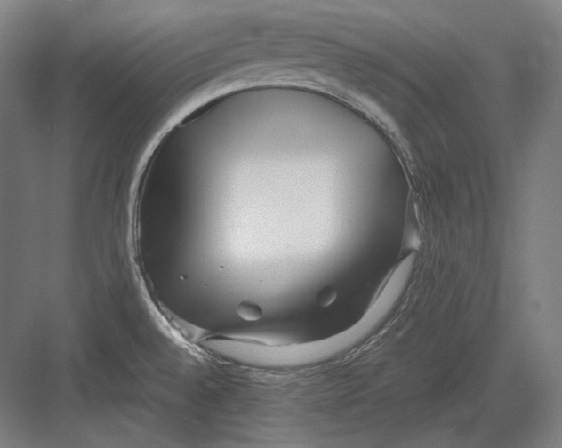 X0000082701528200702161737