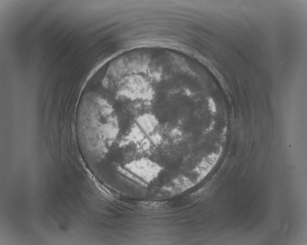 X0000082701529200702161737