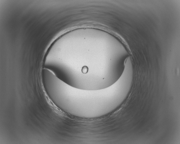 X0000082701530200702161737