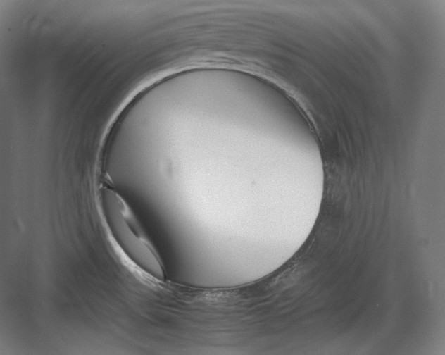 X0000082701531200702161737