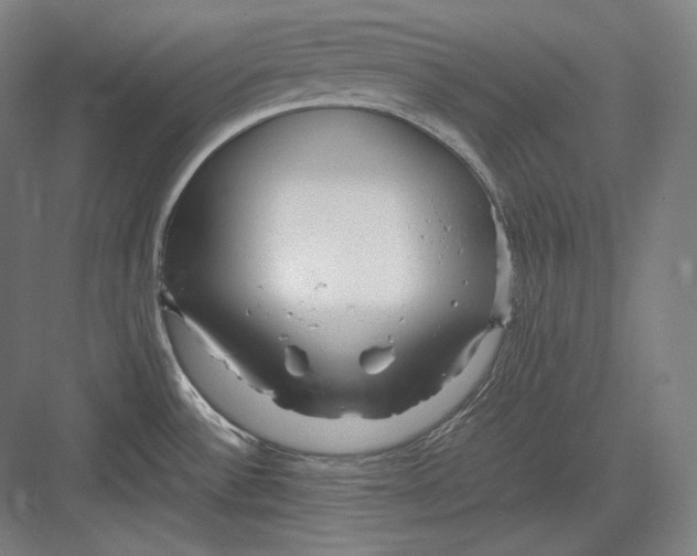 X0000082701532200702161737