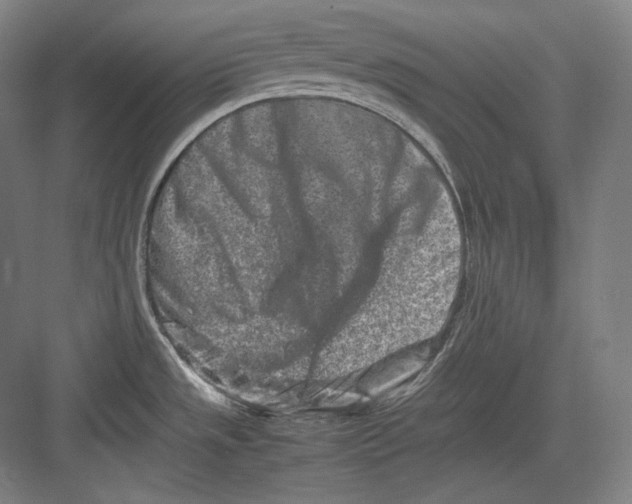 X0000082701533200702161737