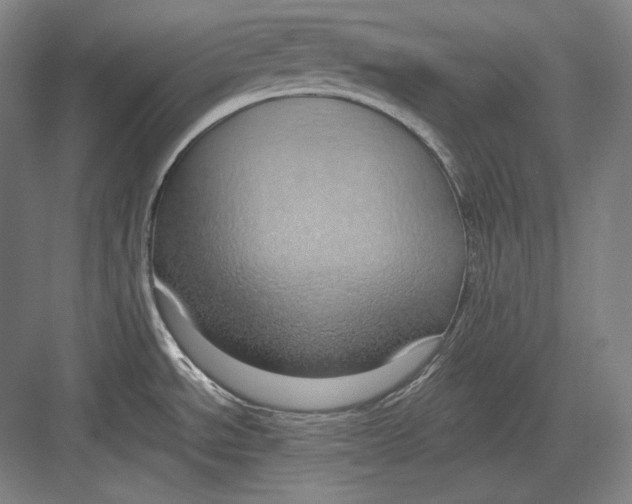 X0000082701534200702161737