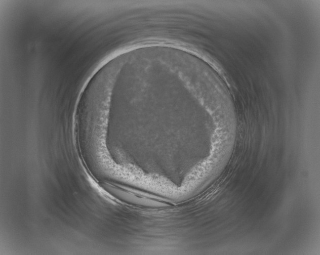 X0000082701535200702161737