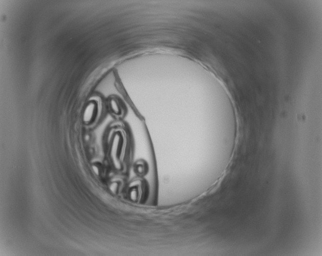 X0000082700001200702232242