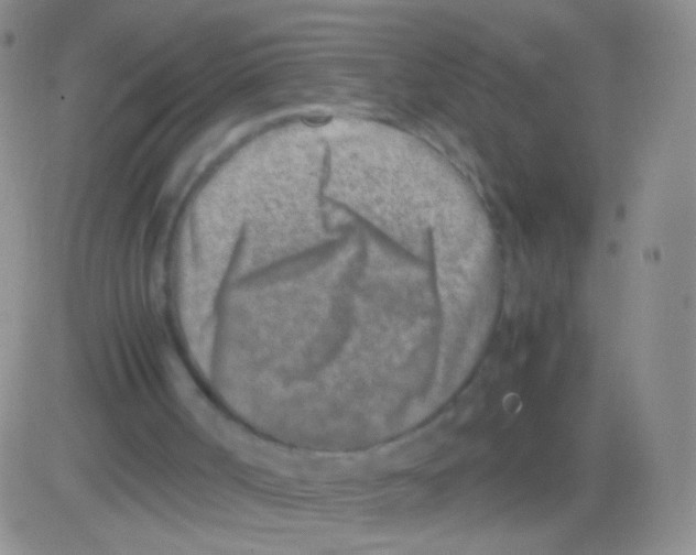 X0000082700002200702232242