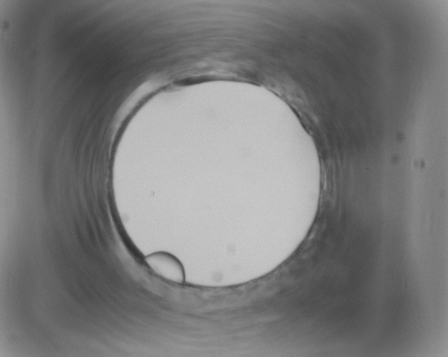 X0000082700003200702232242