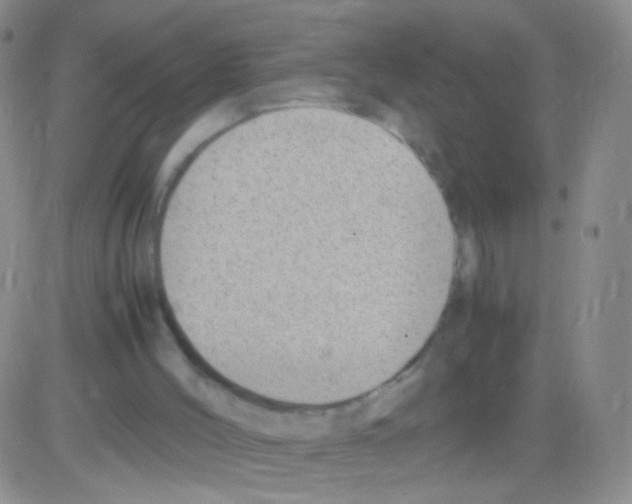 X0000082700004200702232242