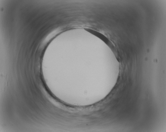 X0000082700005200702232242