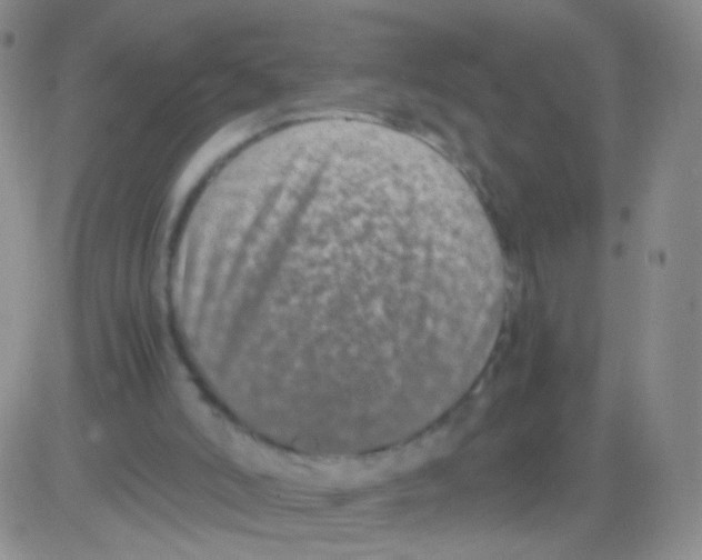 X0000082700006200702232242