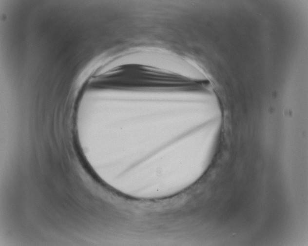 X0000082700007200702232242