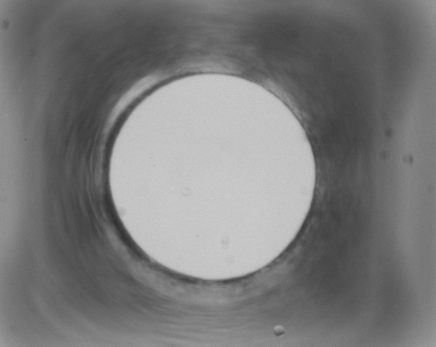 X0000082700008200702232242